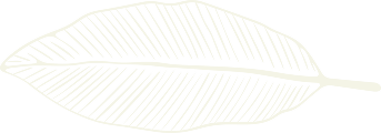Bonao Leaf