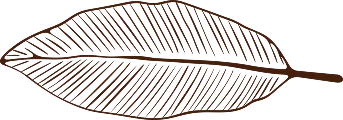 Bonao Leaf